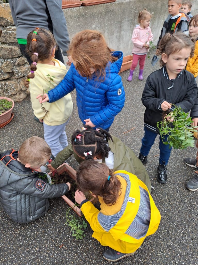 plantation jardin